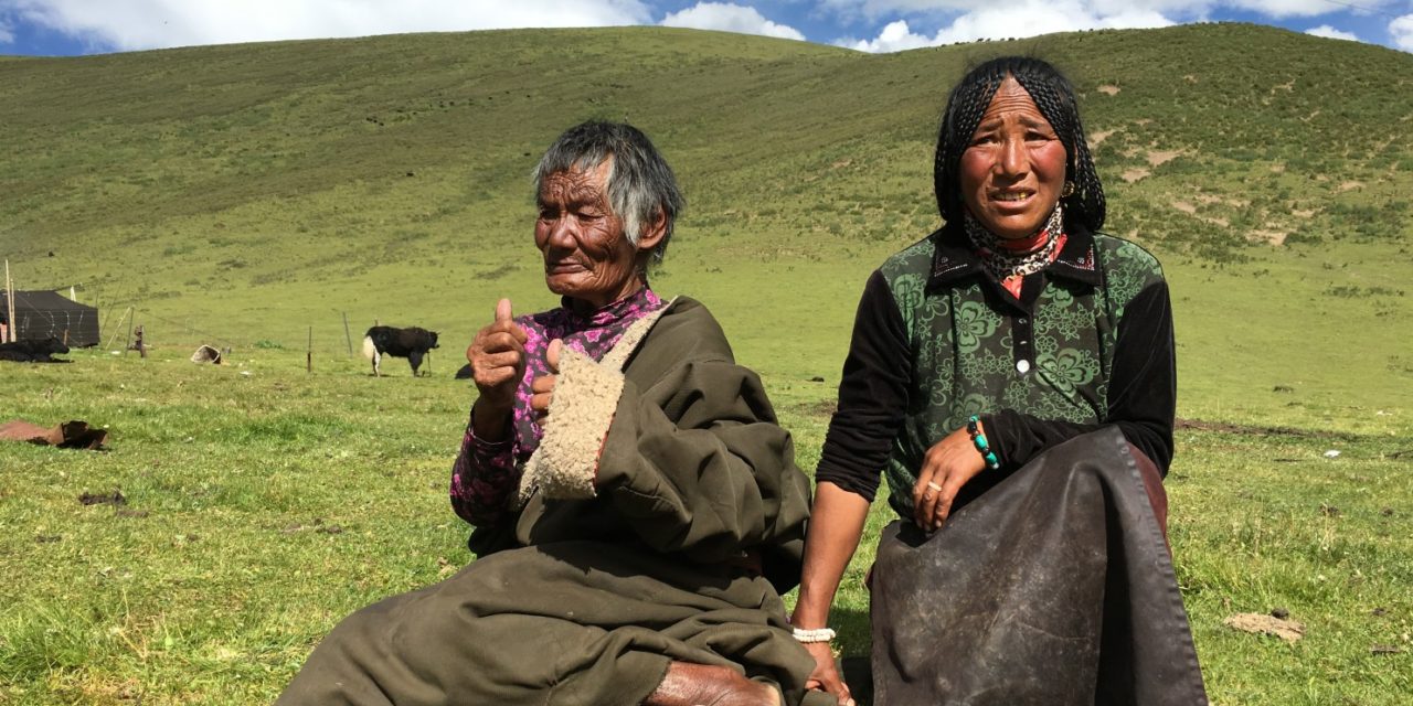 INJUSTICE AND BRUTALITY: A DEATH IN TIBET