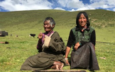INJUSTICE AND BRUTALITY: A DEATH IN TIBET