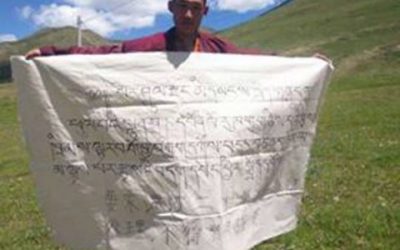 Monk Arrested for solo protest against Land grabs