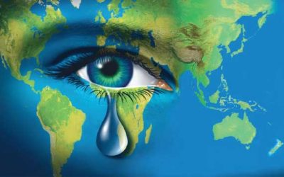 Who Are the Free World Organisation?