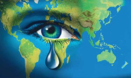 Who Are the Free World Organisation?