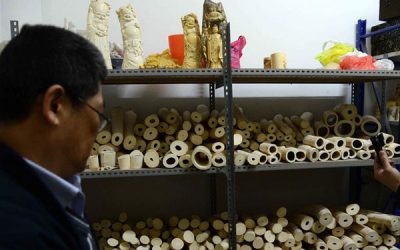 At Last China Finaly to set date to close Ivory Factories