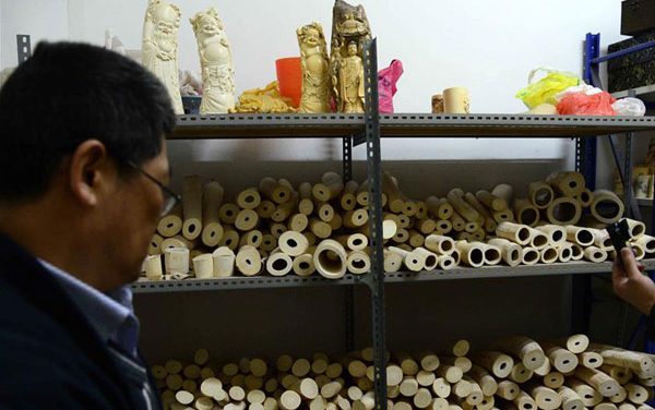At Last China Finaly to set date to close Ivory Factories
