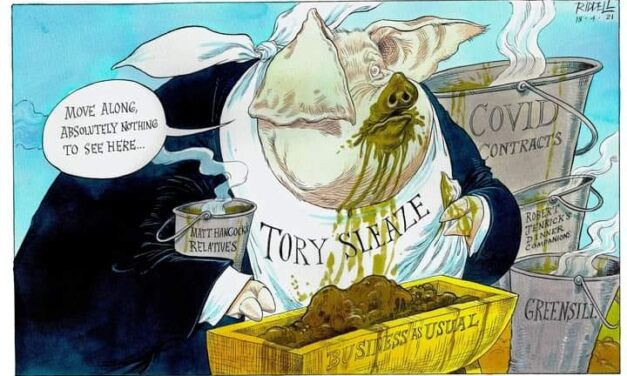 Boris tries to fool the world, but ends up being the fool – Alan Meekings Comments